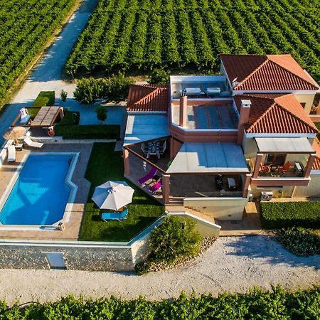 Cretan Vineyard Hill Villa Kato Kalesia Exterior foto