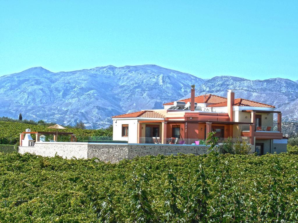 Cretan Vineyard Hill Villa Kato Kalesia Exterior foto