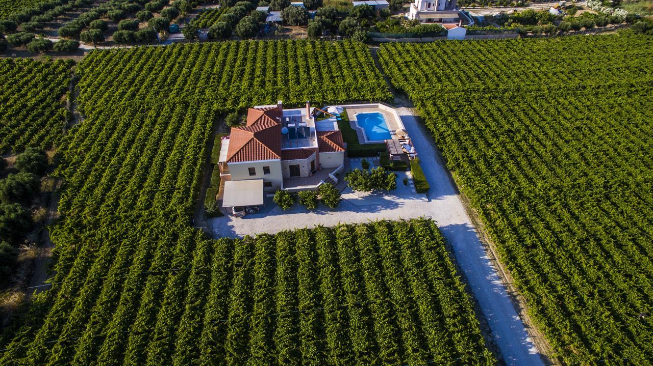 Cretan Vineyard Hill Villa Kato Kalesia Exterior foto