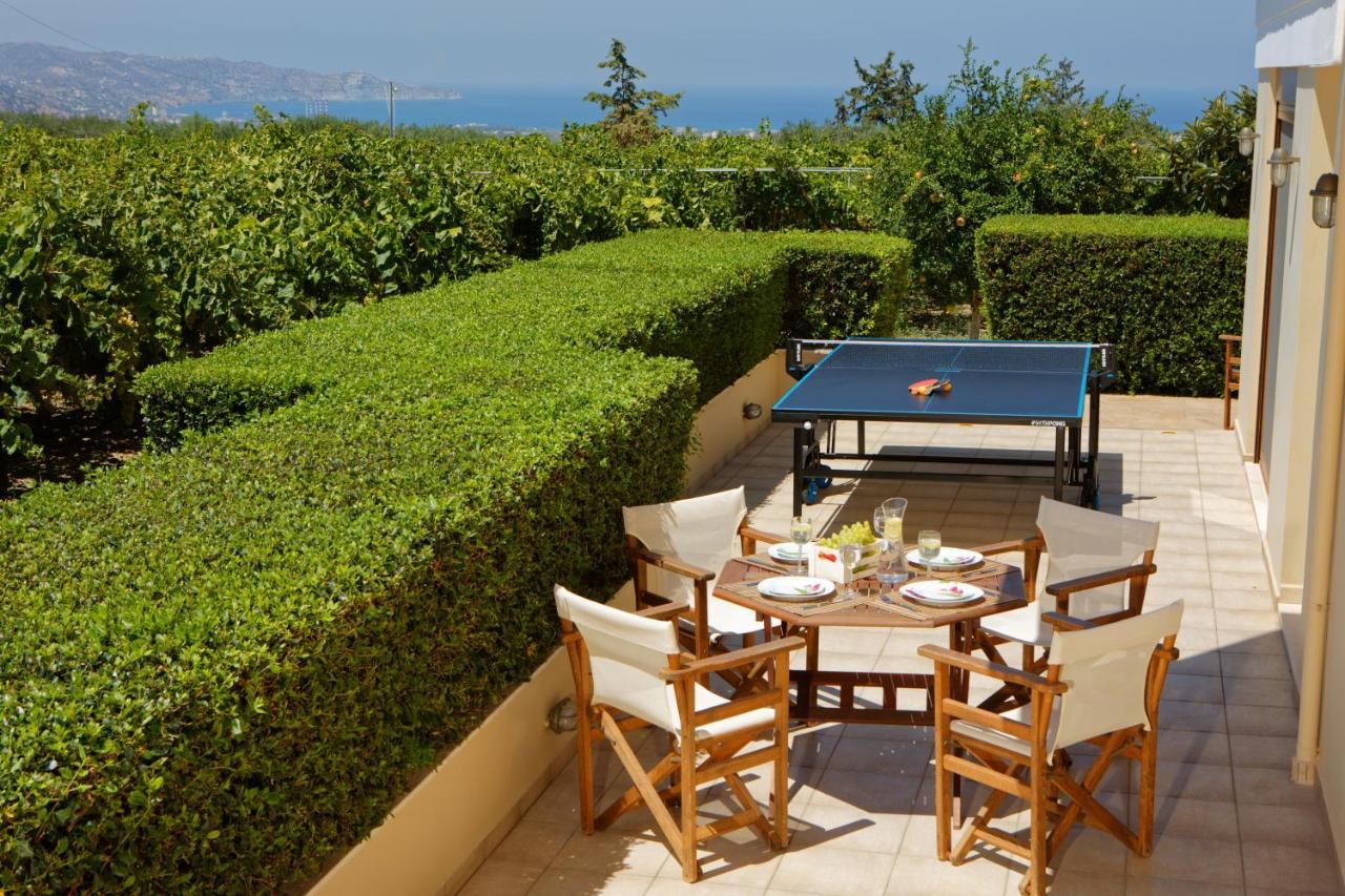 Cretan Vineyard Hill Villa Kato Kalesia Exterior foto